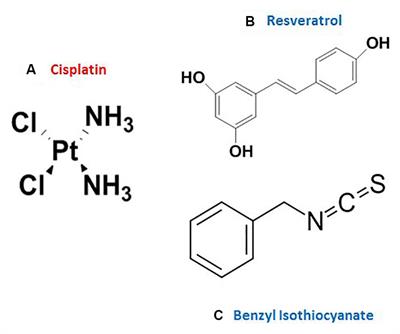 Nephroprotective Effects of Benzyl Isothiocyanate and Resveratrol Against Cisplatin-Induced Oxidative Stress and Inflammation